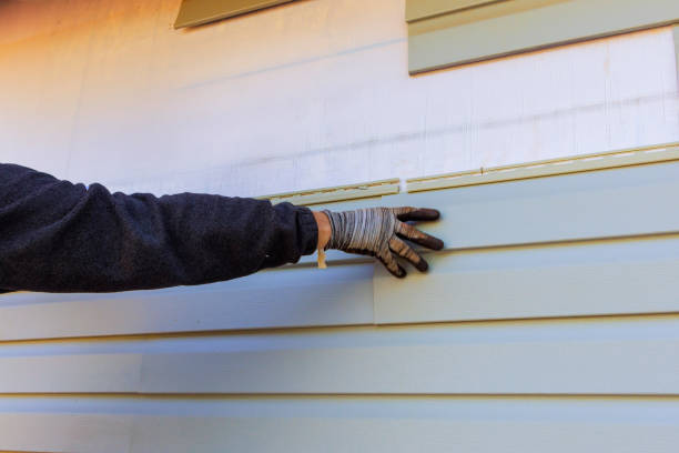 Best Historical Building Siding Restoration  in Riverview, MI